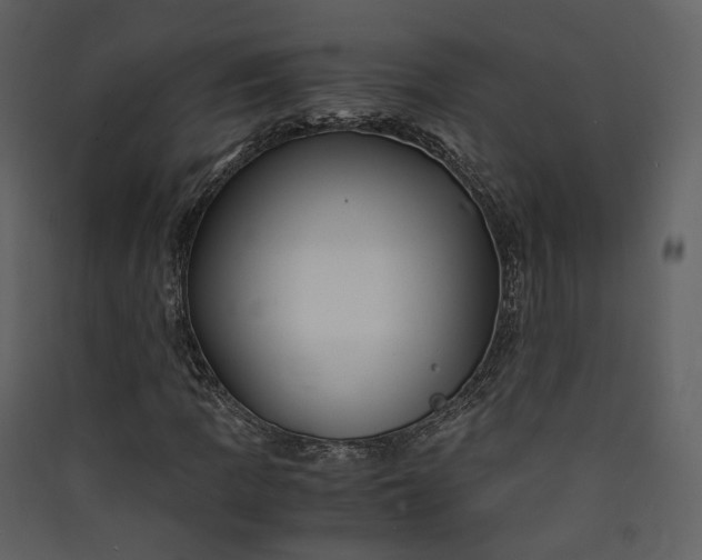 X0000089951109200707131510