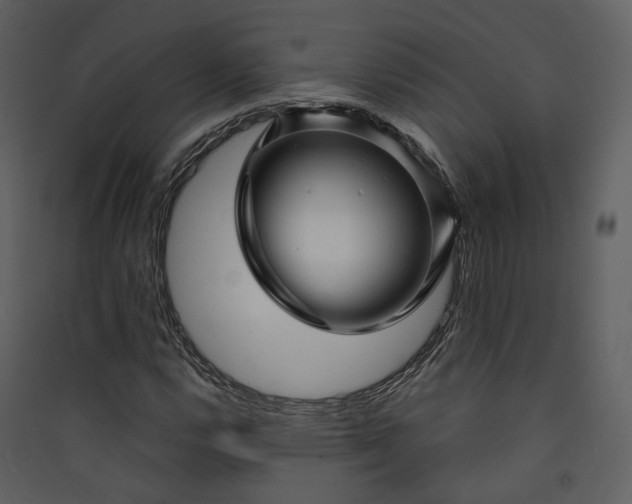 X0000089951112200707131510