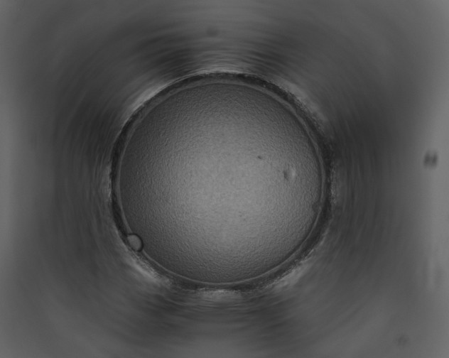 X0000089951113200707131510