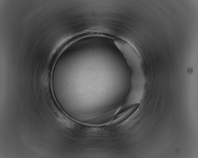X0000089951115200707131510