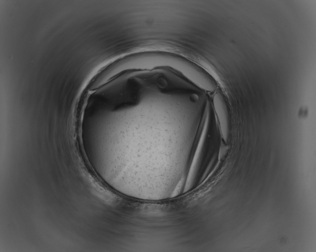 X0000089951116200707131510