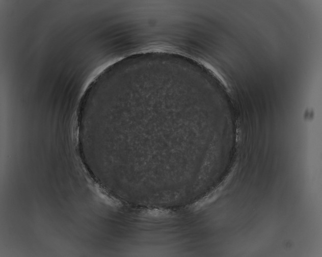 X0000089951117200707131510