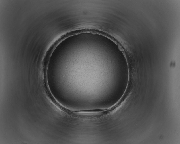 X0000089951118200707131510