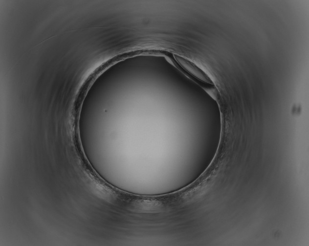 X0000089951119200707131510