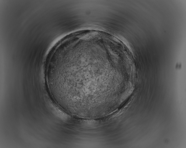 X0000089951120200707131510