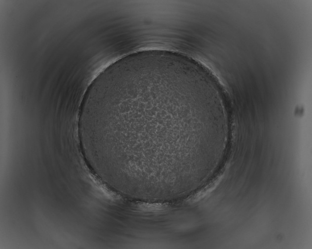 X0000089951121200707131510