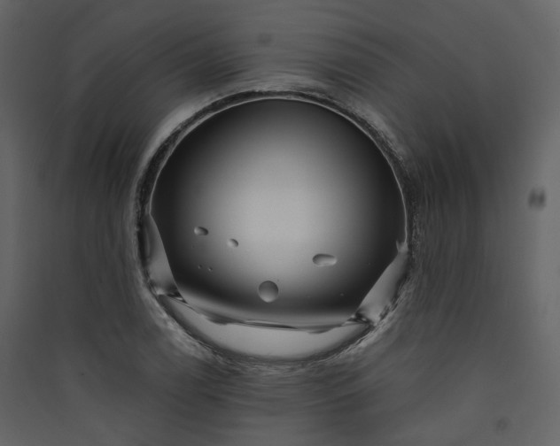 X0000089951122200707131510
