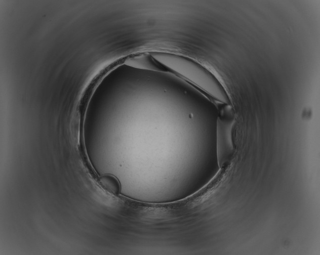X0000089951123200707131510
