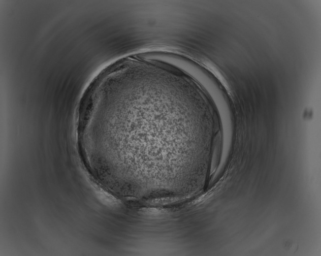 X0000089951124200707131510