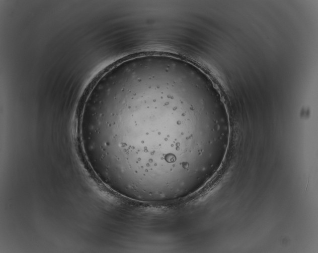 X0000089951125200707131510