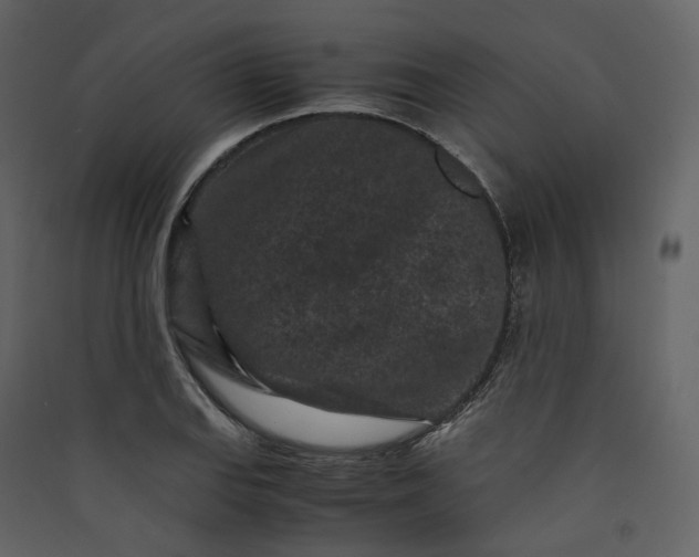 X0000089951127200707131510