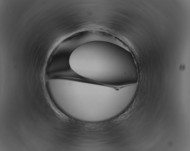 X0000089951128200707131510