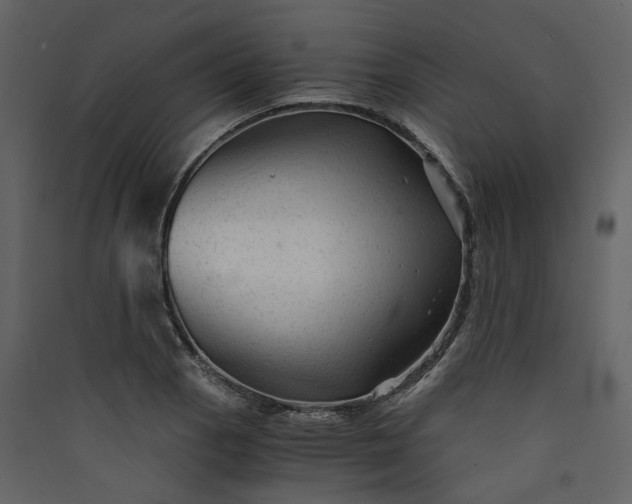 X0000089951129200707131510