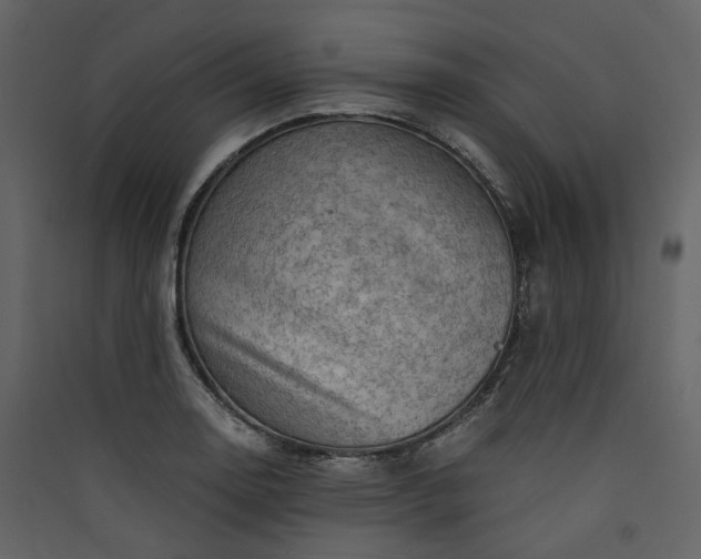 X0000089951130200707131510