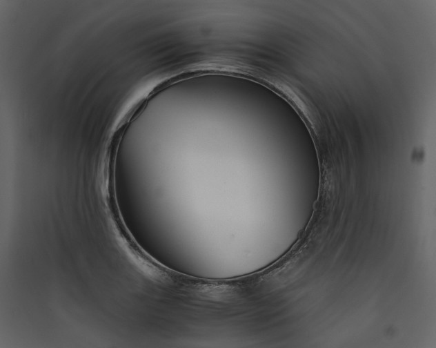 X0000089951131200707131510