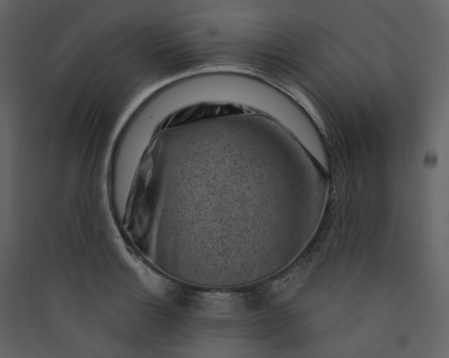 X0000089951132200707131510