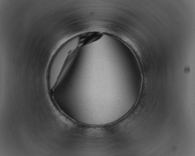 X0000089951133200707131510