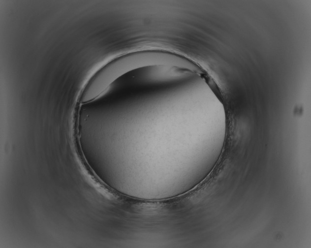 X0000089951134200707131510