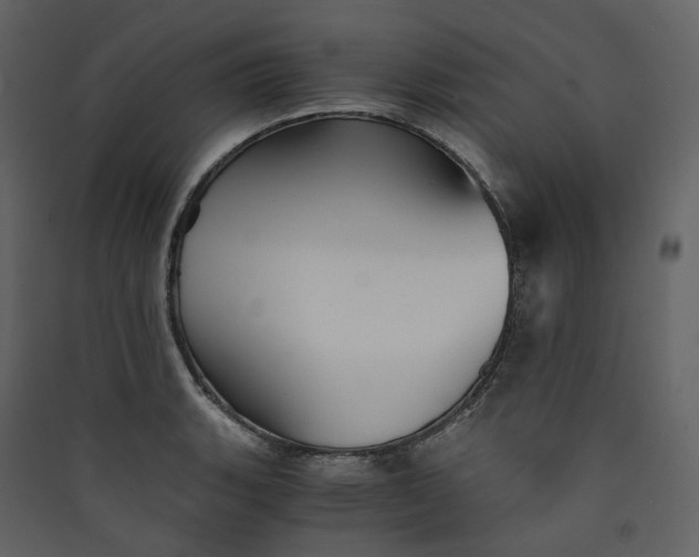 X0000089951135200707131510