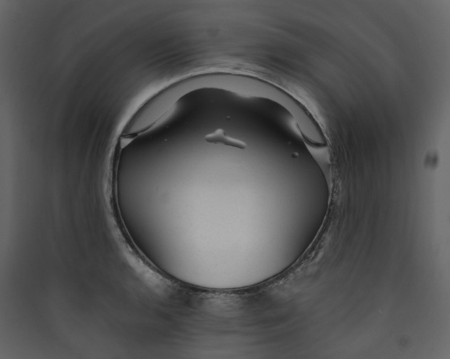 X0000089951136200707131510