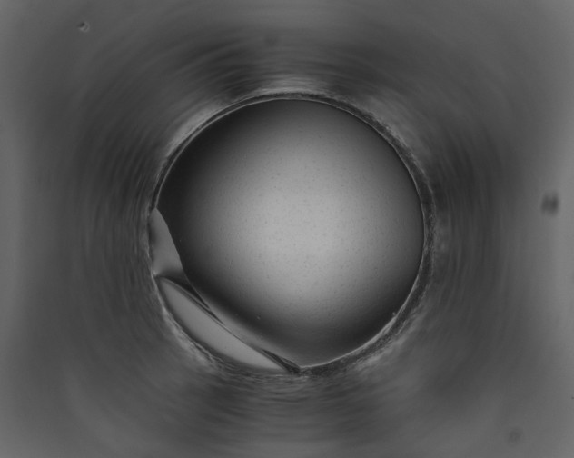 X0000089951137200707131510