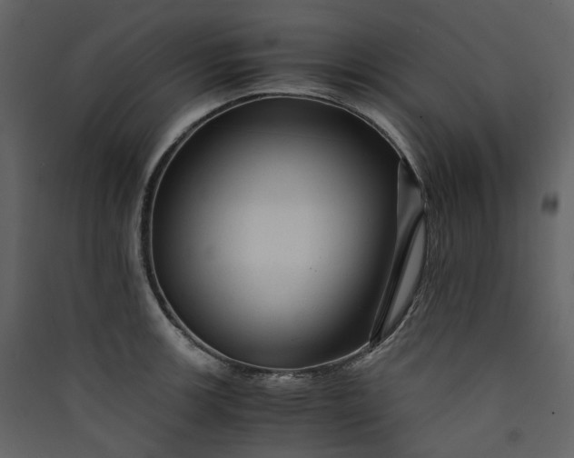 X0000089951139200707131510