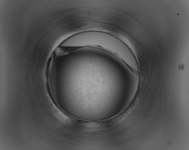 X0000089951141200707131510