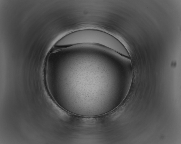 X0000089951142200707131510