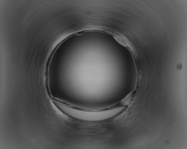 X0000089951143200707131510