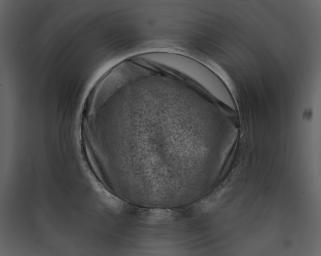 X0000089951144200707131510