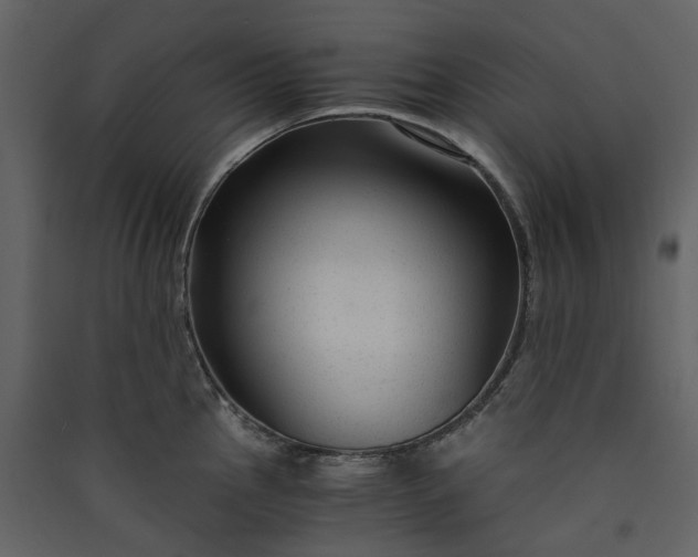 X0000089951145200707131510