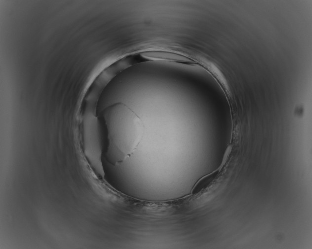 X0000089951146200707131510