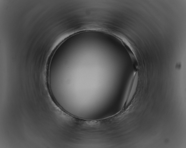 X0000089951147200707131510
