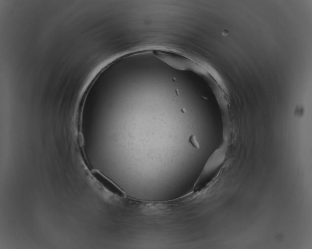 X0000089951148200707131510