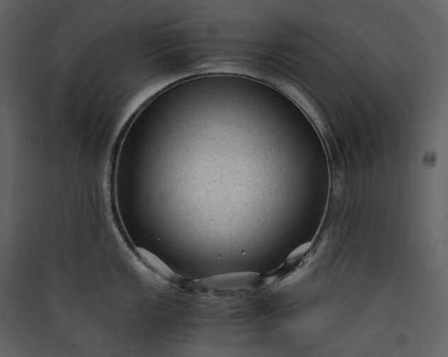 X0000089951149200707131510