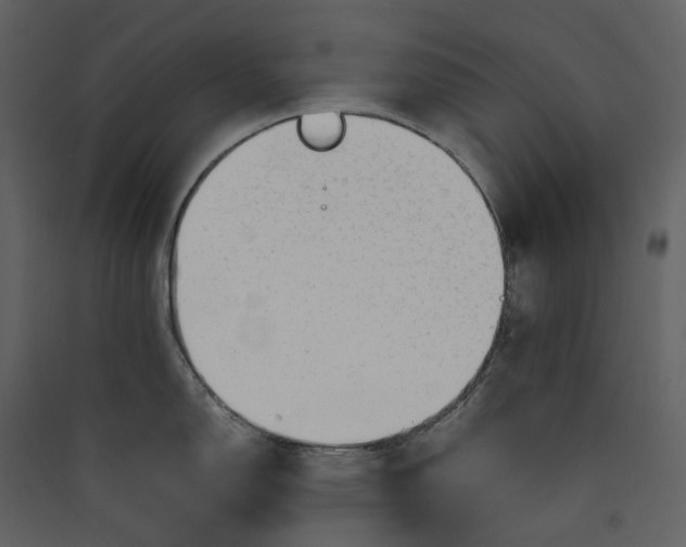 X0000089951150200707131510
