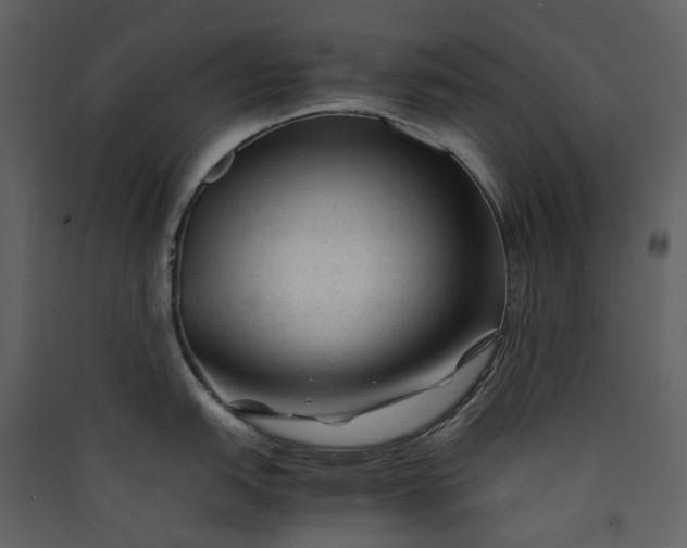 X0000089951151200707131510
