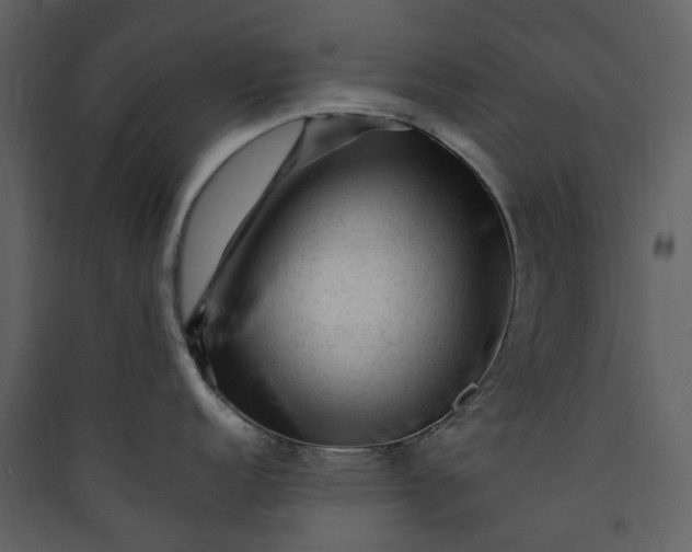 X0000089951152200707131510