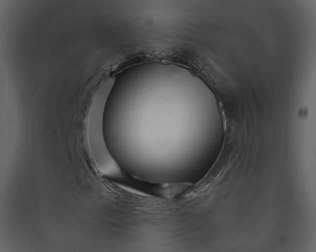 X0000089951153200707131510