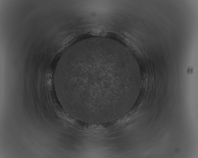 X0000089951154200707131510