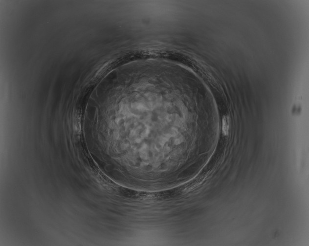 X0000089951155200707131510