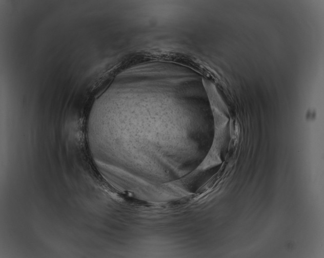 X0000089951156200707131510