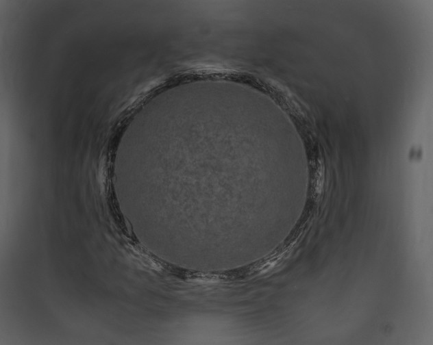 X0000089951157200707131509