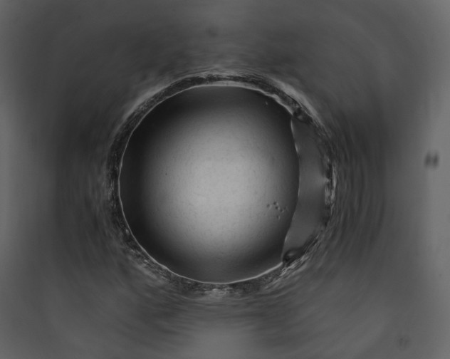 X0000089951160200707131509