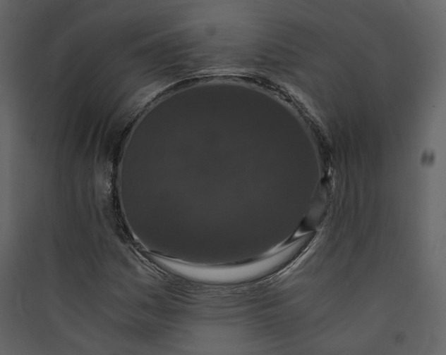 X0000089951161200707131509