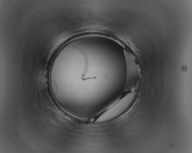 X0000089951164200707131509