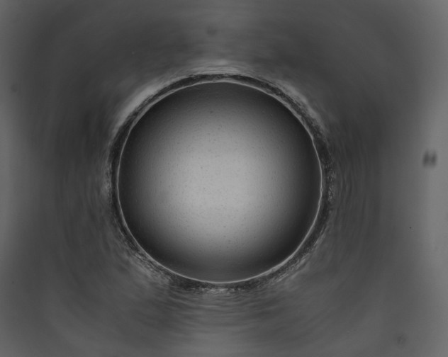 X0000089951167200707131509