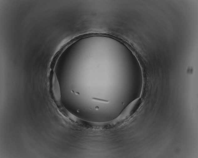 X0000089951168200707131509