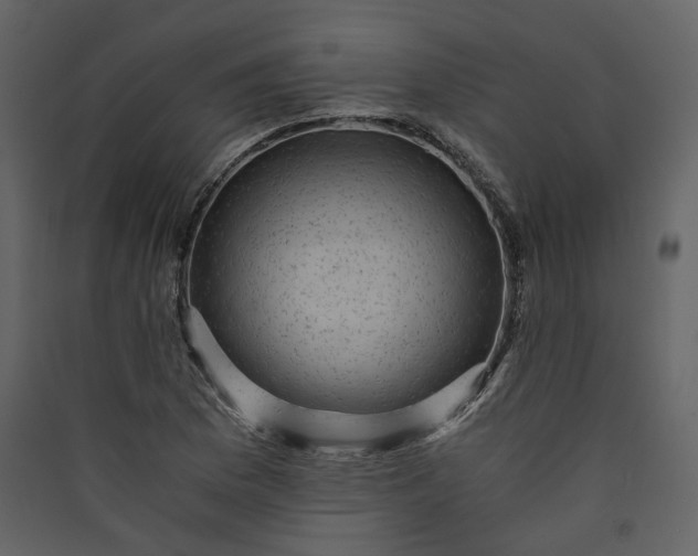 X0000089951169200707131509