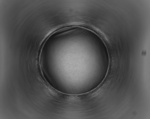 X0000089951170200707131509